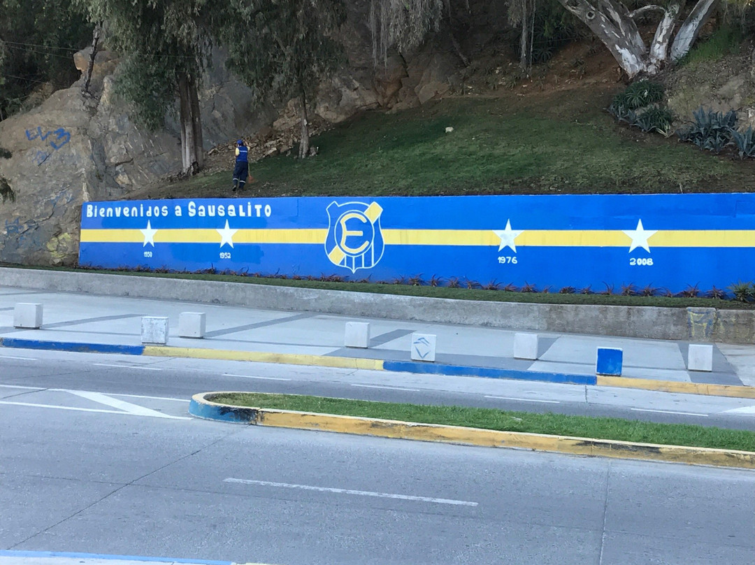 Estadio Sausalito-比尼亚德尔马必去景点