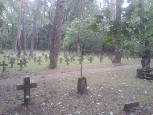 Modlin Fortress Cemetery景点图片
