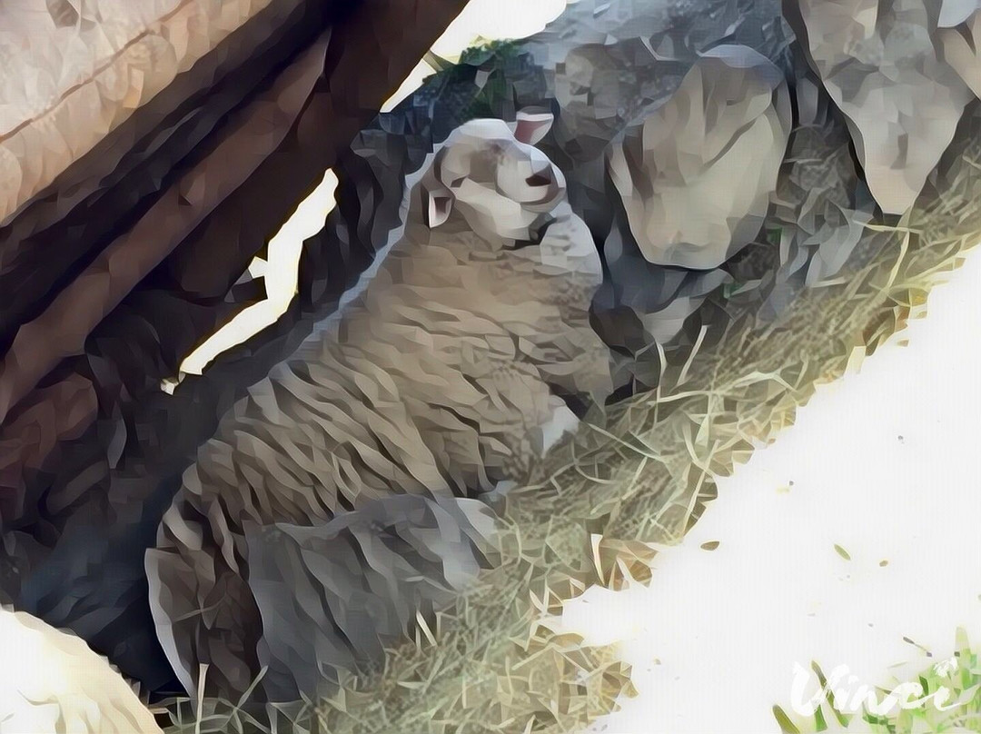 Erabliere Chic Rustique-Orford必去景点