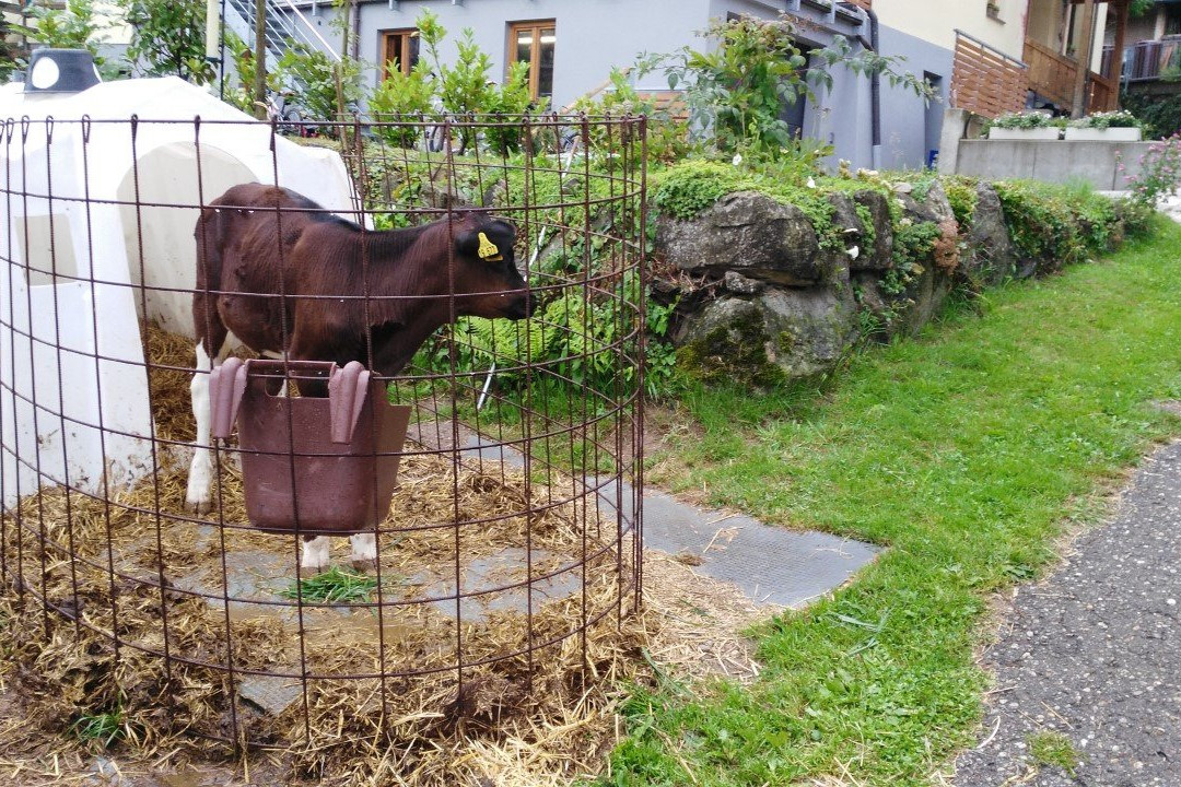 Kirnermarteshof主图