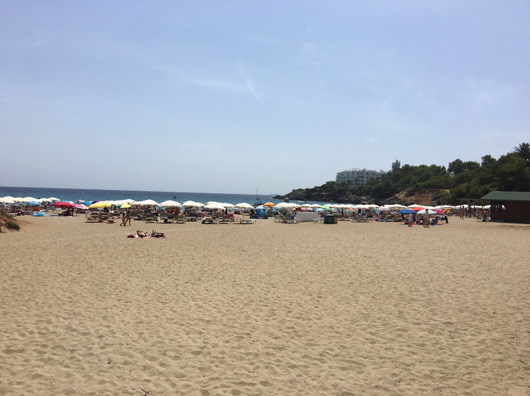 Cala Llenya旅游攻略图片
