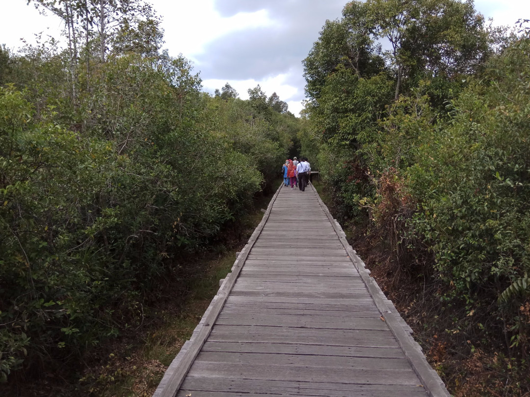 OrangutansHoliday-Pangkalan Bun必去景点