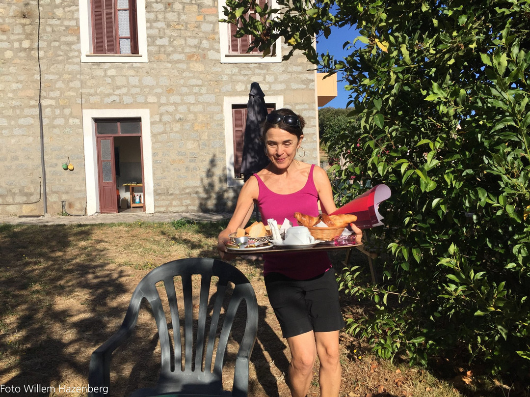 Hotel Les Calanques主图