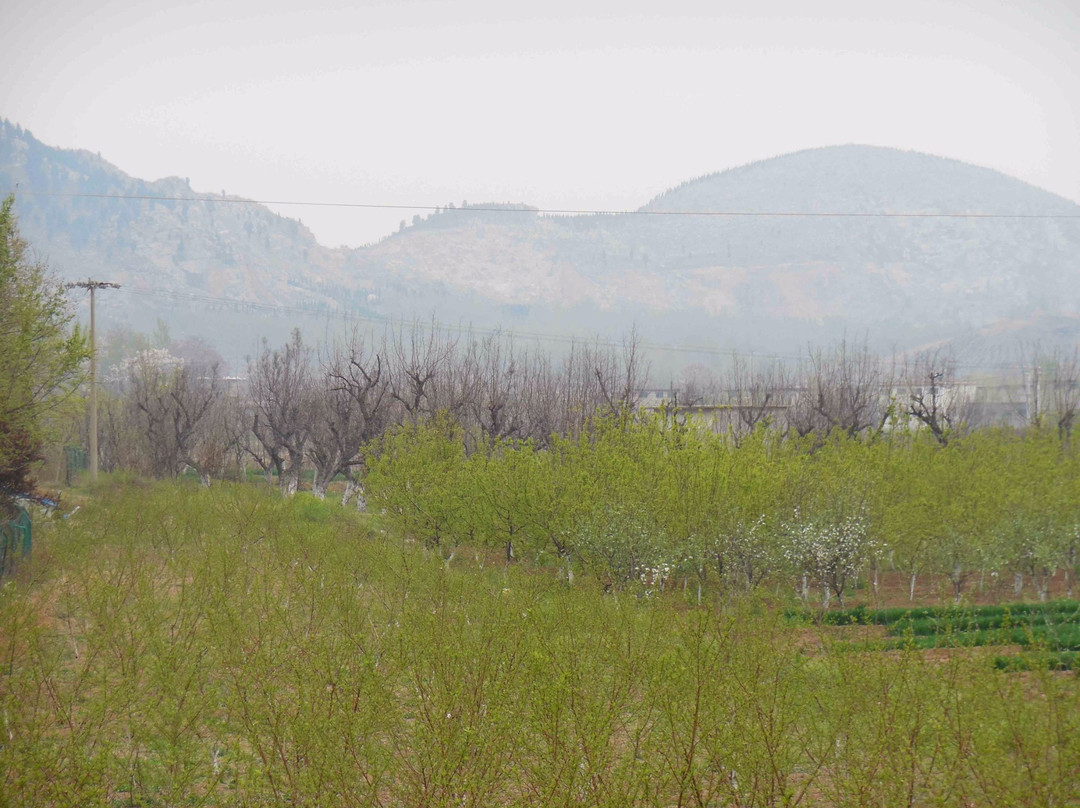 曲阜九龙山摩崖墓群-曲阜市必去景点