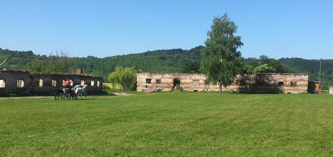 Jasenovac旅游攻略图片