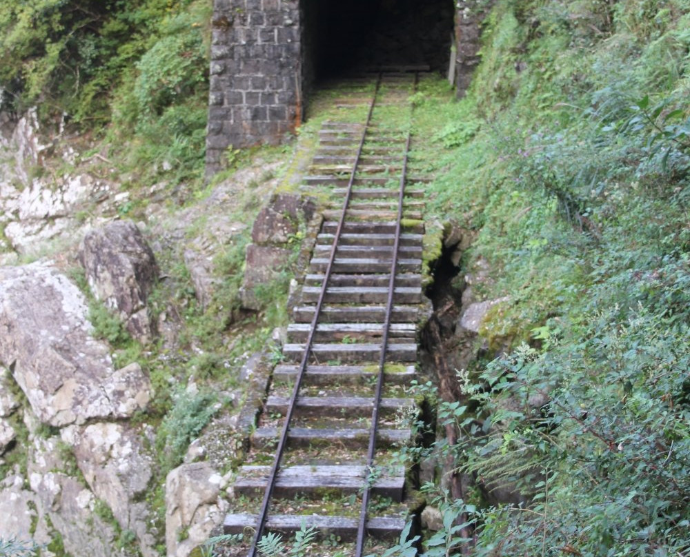 Gomi Tunnel