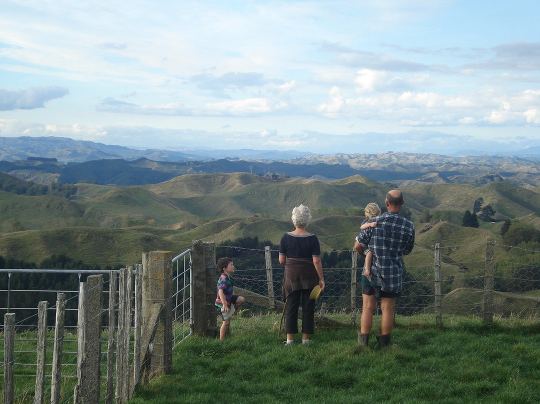 Ridge Top Farm Walk-Feilding必去景点