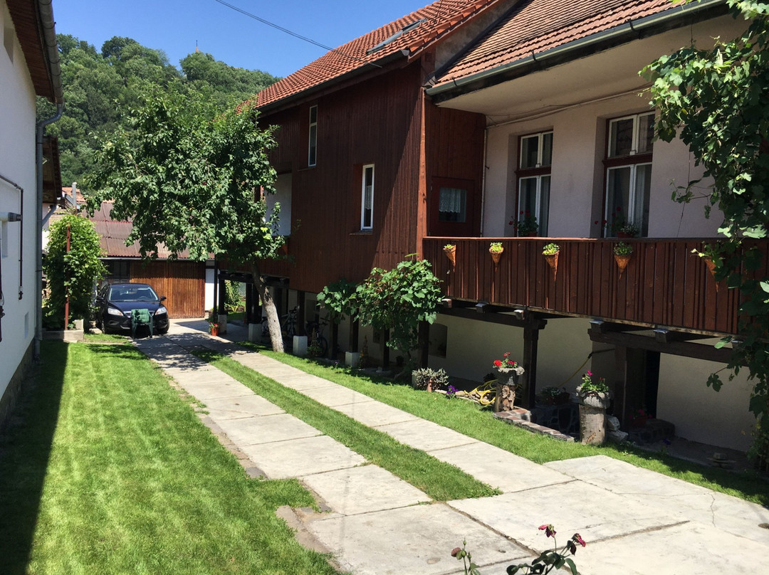 Cris酒店住宿-Casa Steluta