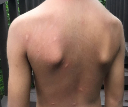 普吉盛泰乐别墅度假村主图