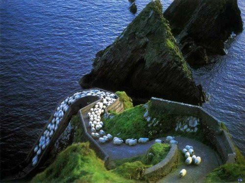 Discover Kerry Tours-基拉尼必去景点
