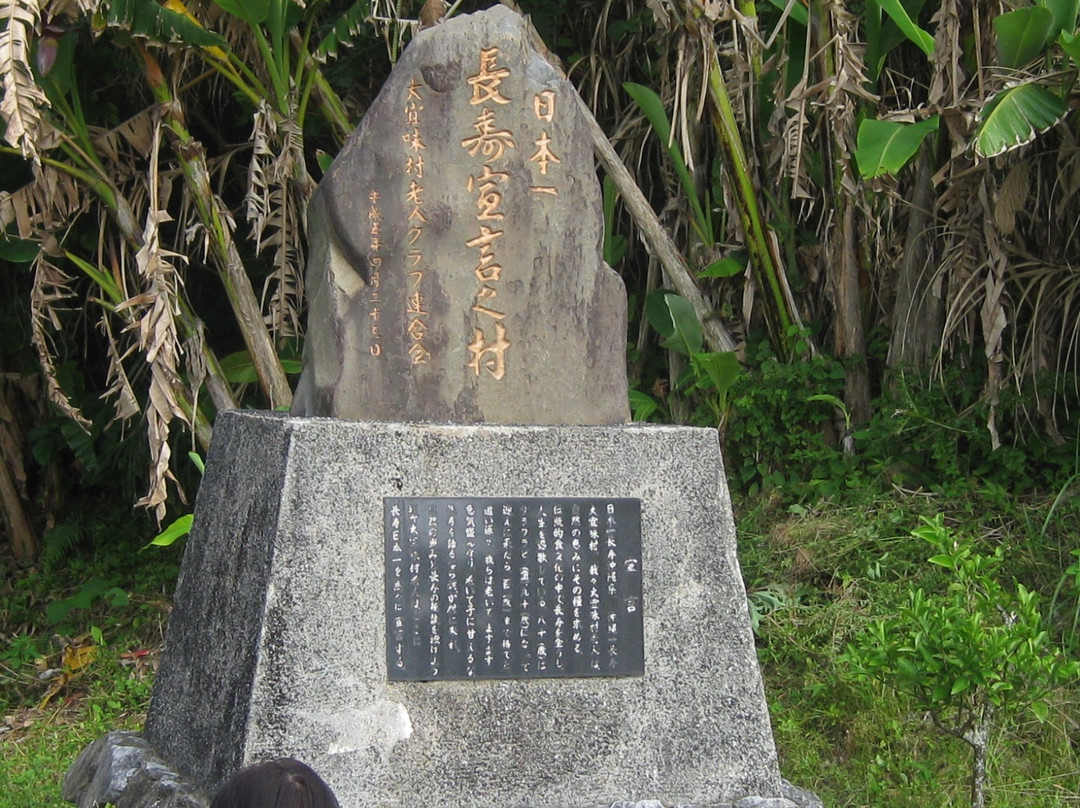 Stone Monument of Declaration of Longevity景点图片