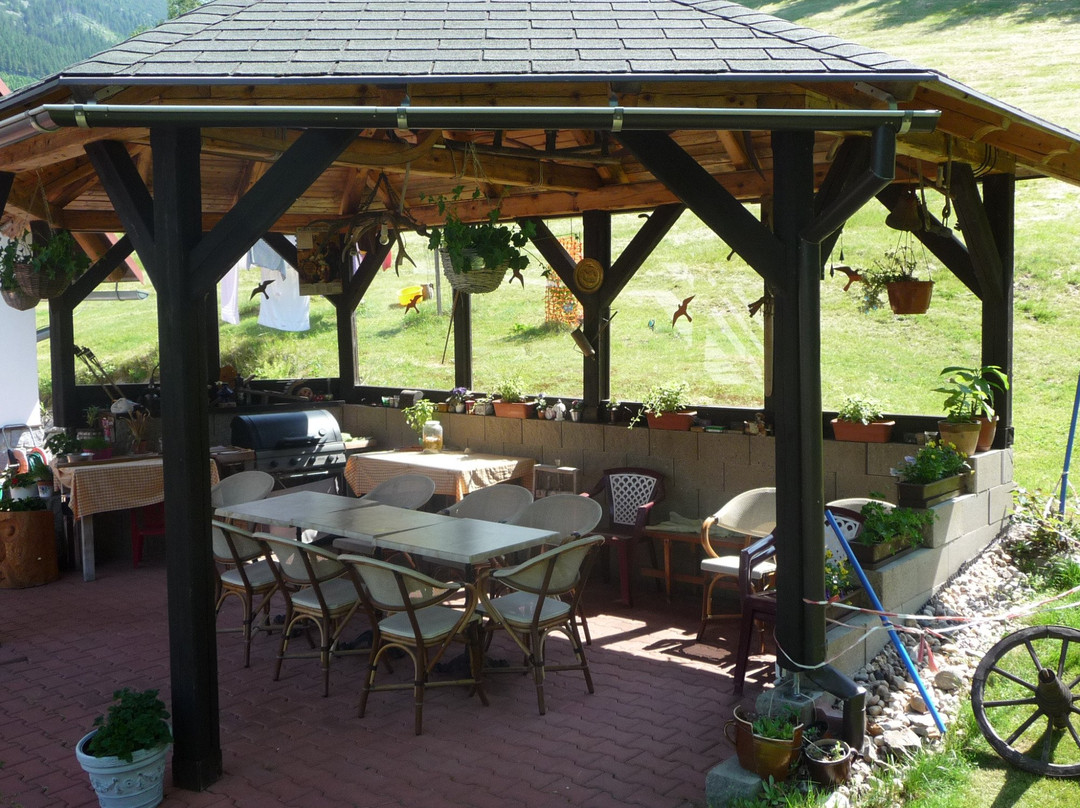 Svaty Petr酒店住宿-Penzion u Srenku