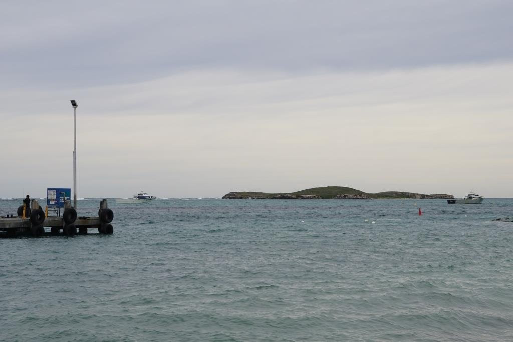 Lancelin Island景点图片