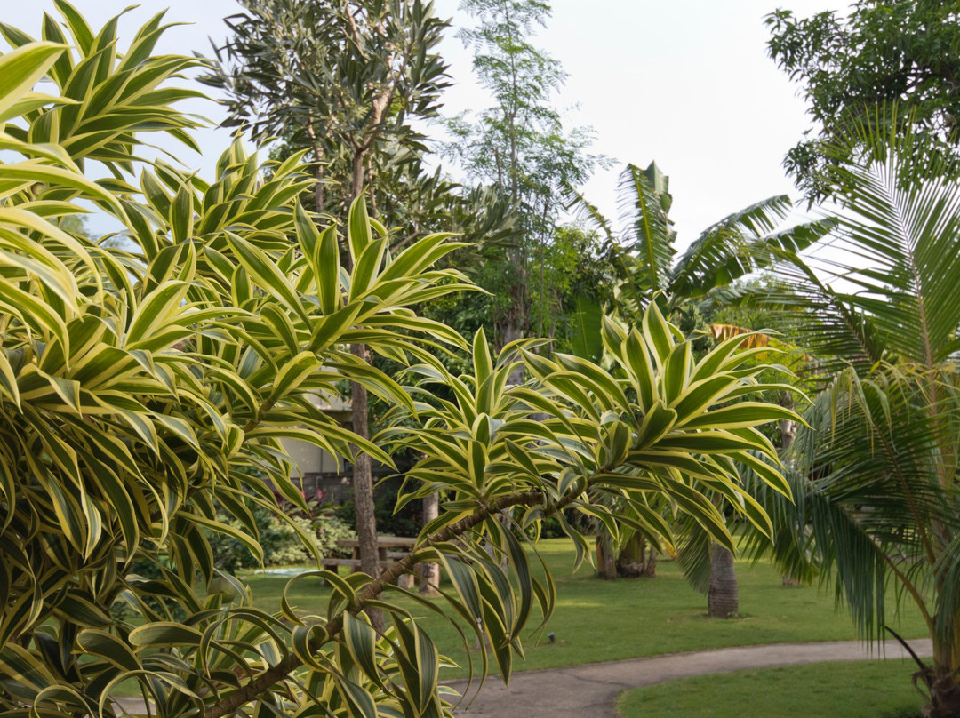 Biorock Homestay主图