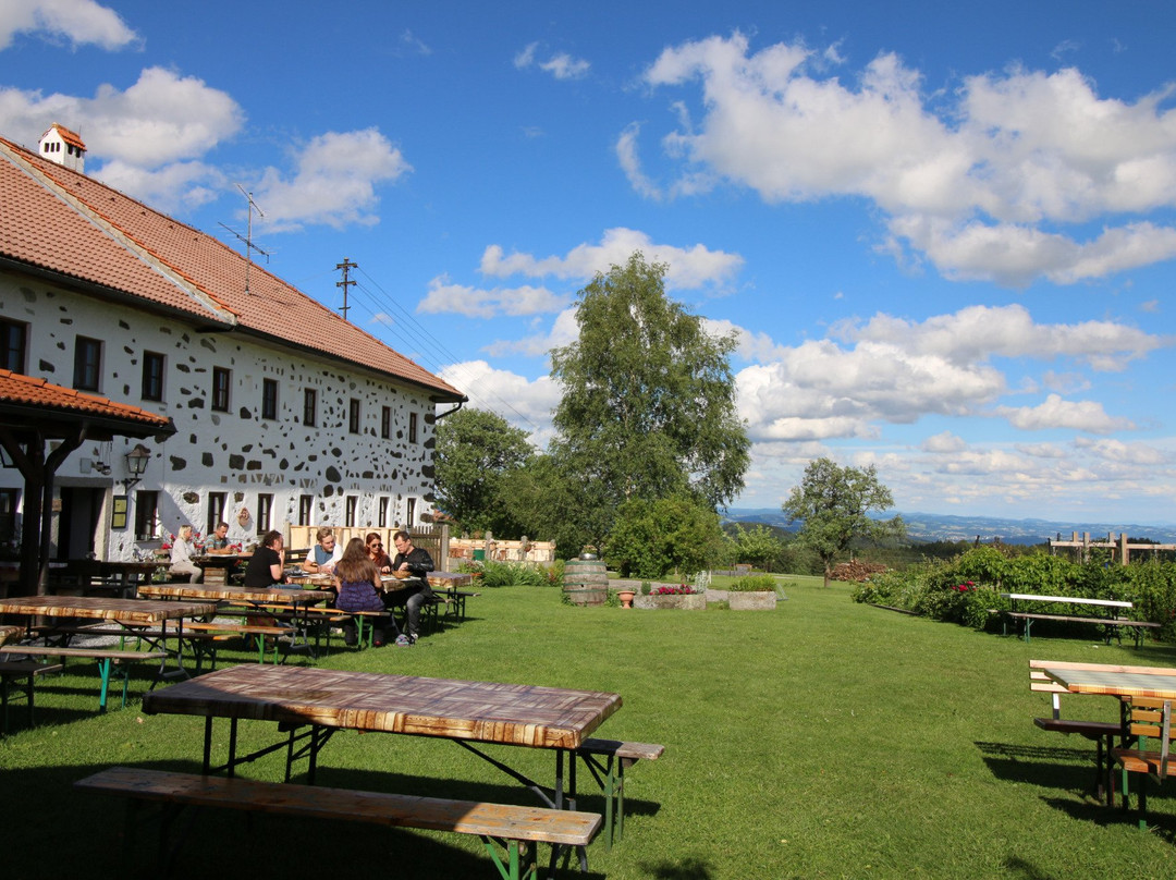 Kirchschlag bei Linz餐馆和美食-Jausenstation Satzinger