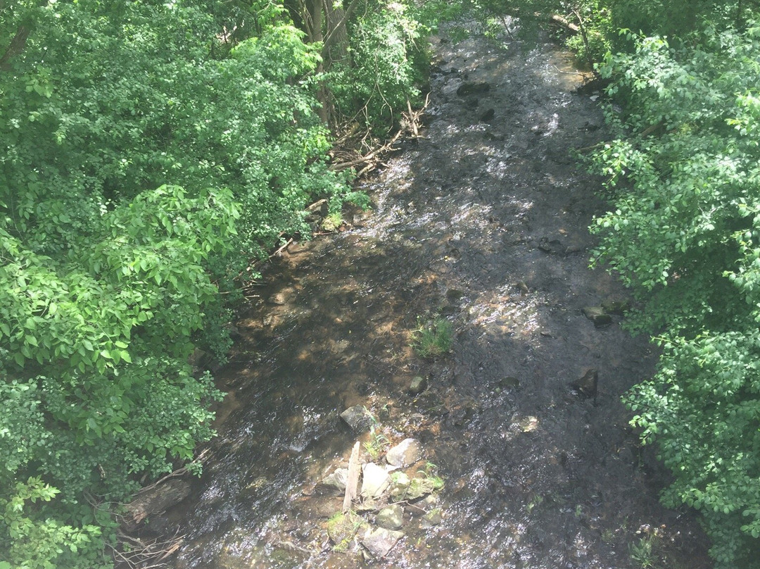 Pedal & Cup-日内瓦湖必去景点