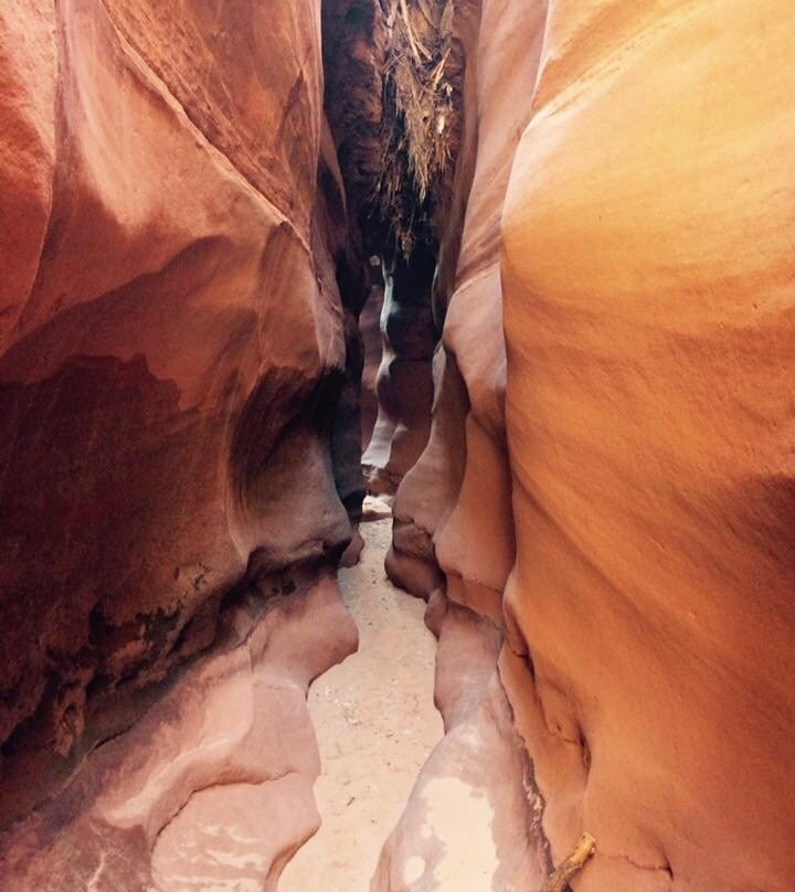 Big Horn Canyon景点图片