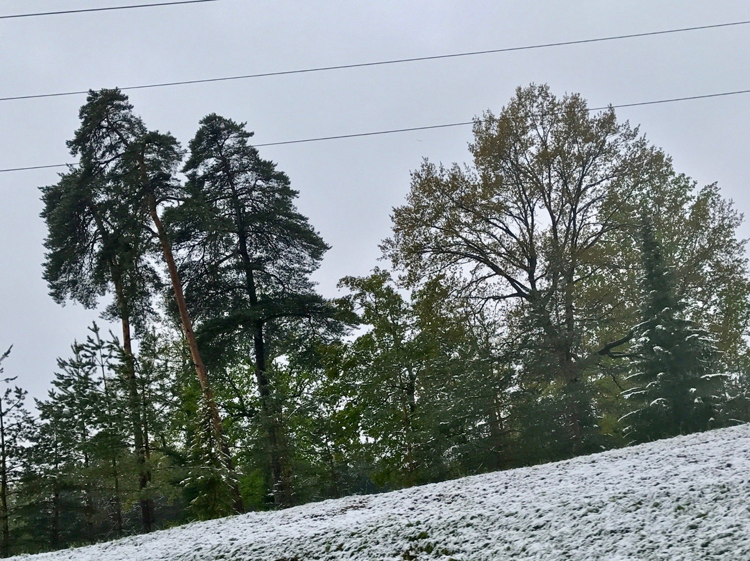 Steinen旅游攻略图片