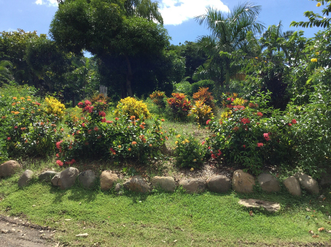 Botanical Gardens-劳托卡必去景点