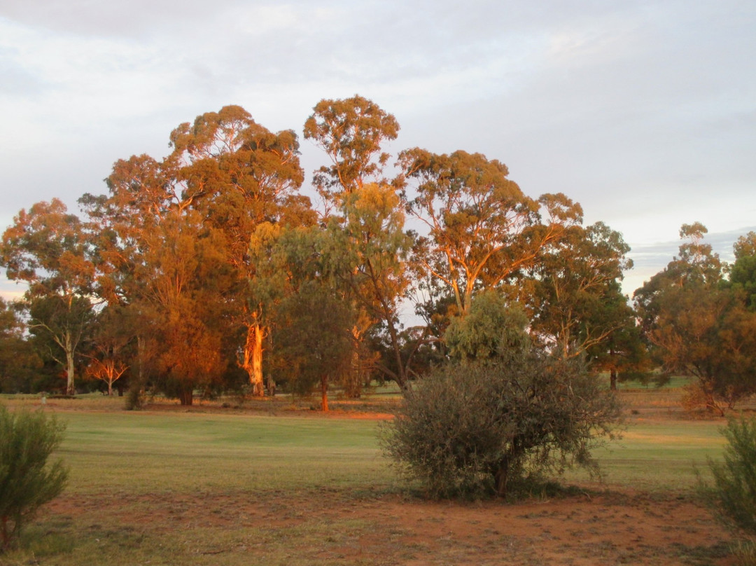 Loxton Golf Club景点图片