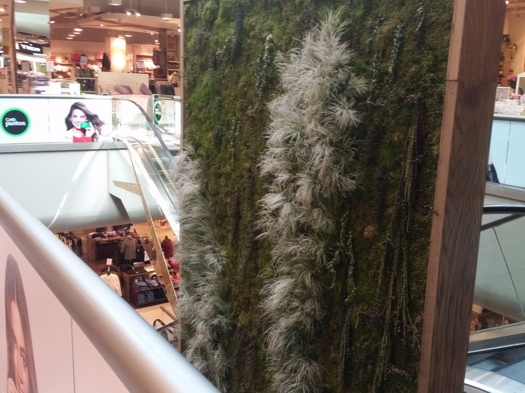 Mall Plaza Calama-Calama必去景点