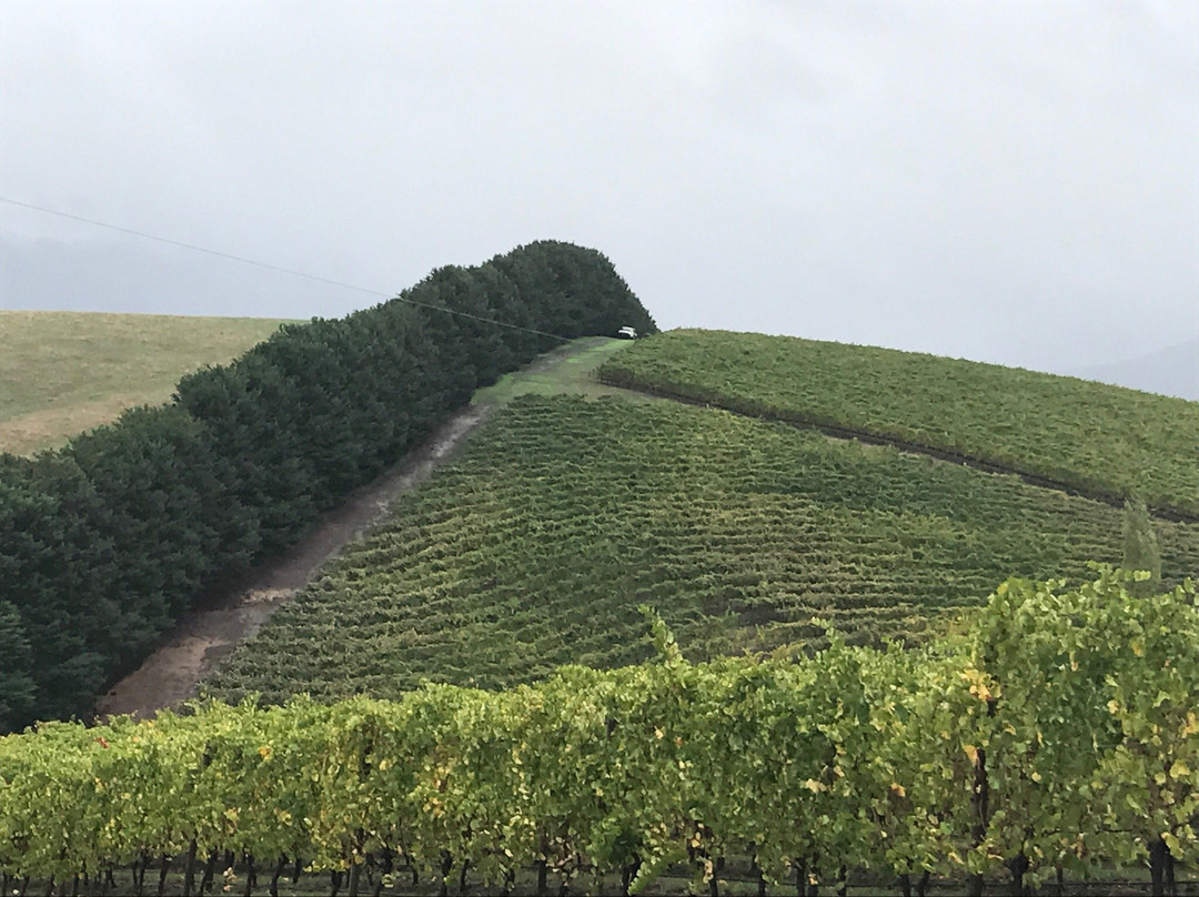 Hanrahan Vineyard-Gruyere必去景点