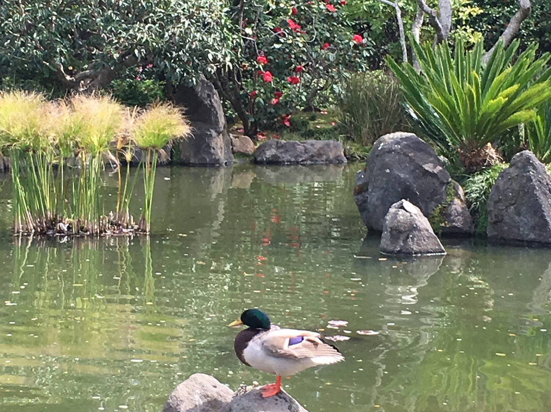 Central Park-圣马特奥必去景点