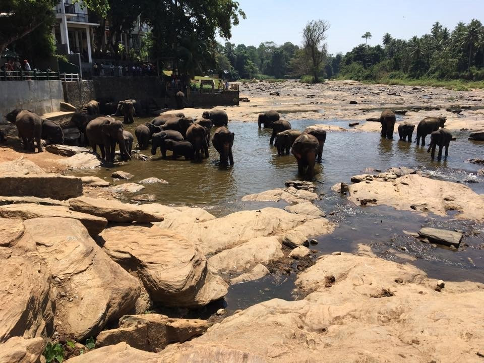 Luv SL-品纳维拉必去景点