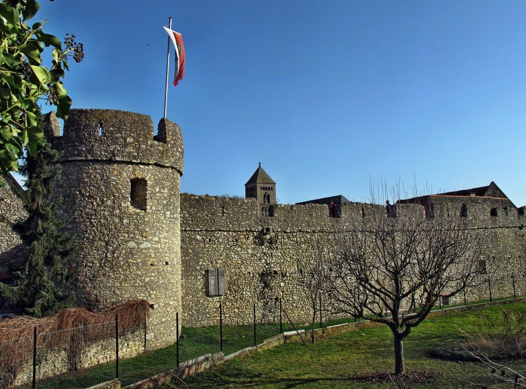 Fleckenmauer Floersheim-Dalsheim景点图片