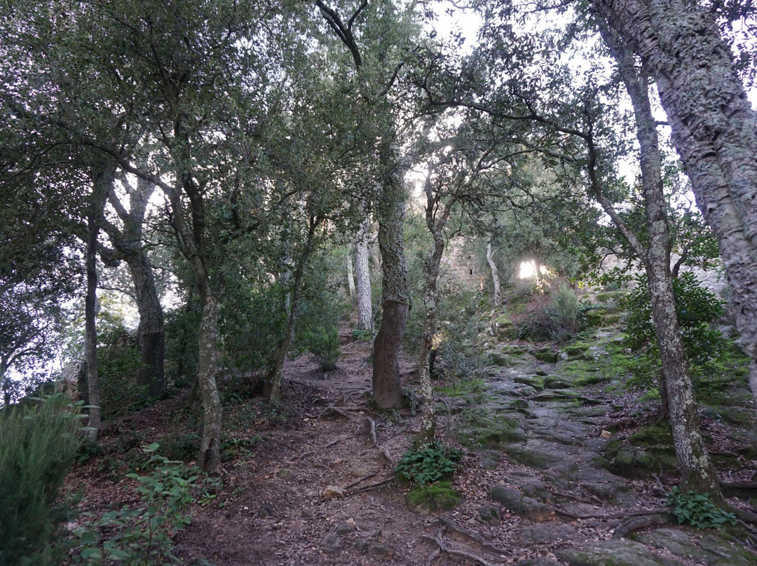 Castell de Farners景点图片