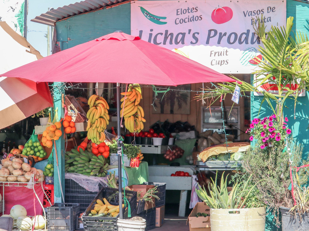 Immokalee State Farmers' Market-Immokalee必去景点