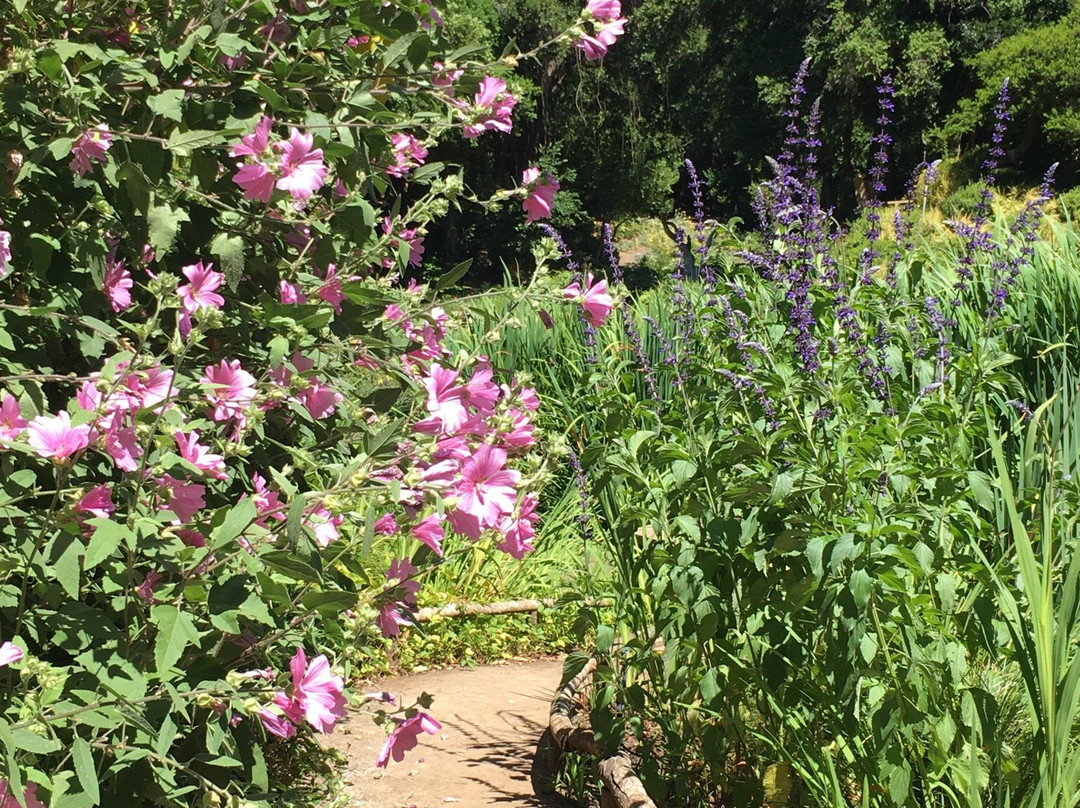 Yali Explora-Santo Domingo必去景点