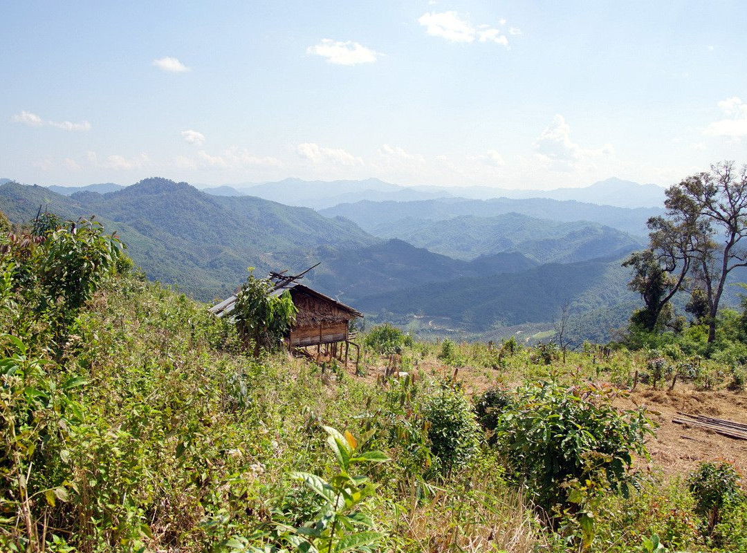 Phou Iu Travel & Ecotourism景点图片