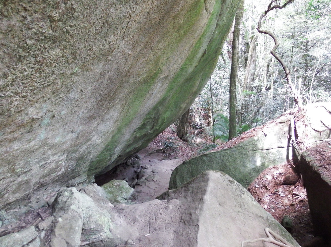 Lavender Garden Hotel主图