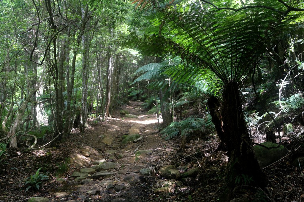 Gulaga National Park景点图片