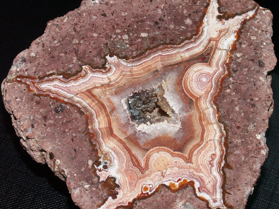 Treasures of the Earth / Mineral Museum景点图片