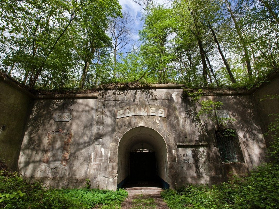 Fort d'Emines景点图片