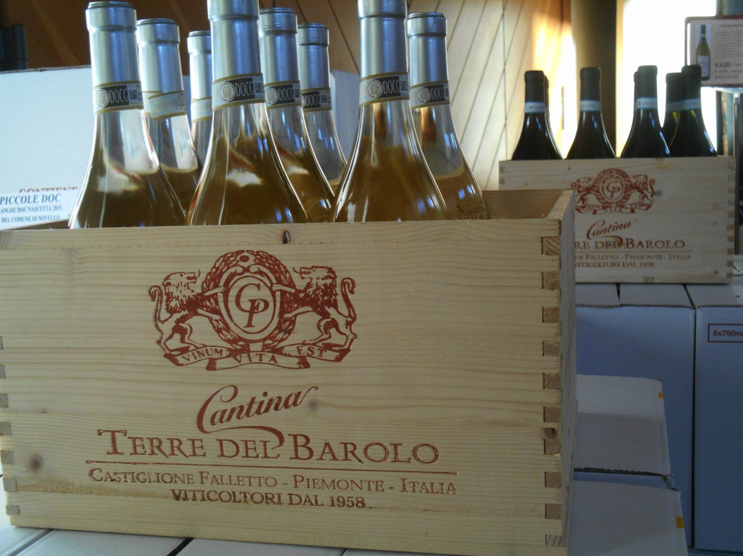 Cantina Terre del Barolo-Castiglione Falletto必去景点