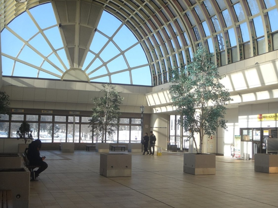 Elfin Park-北广岛市必去景点