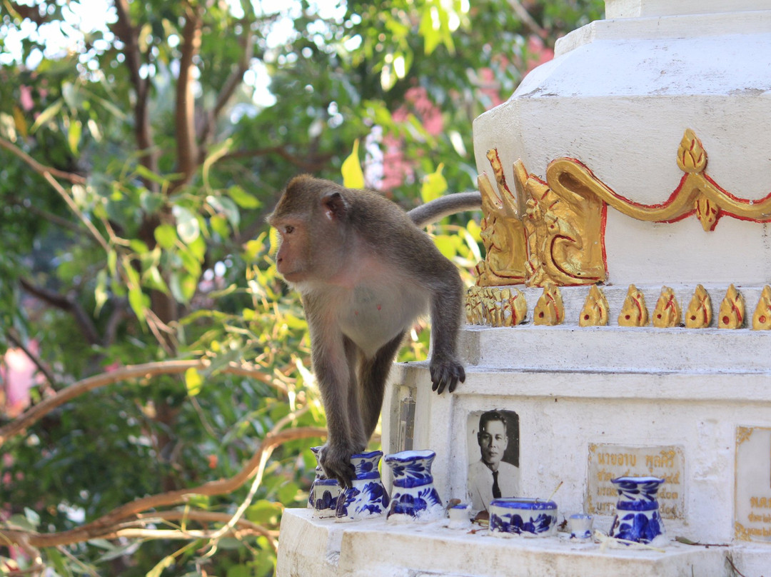 Wat Boontawee景点图片