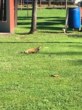 Balneario Punta Salinas-Toa Baja必去景点