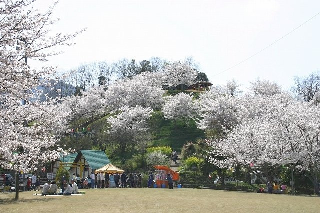 Oyasu Park景点图片