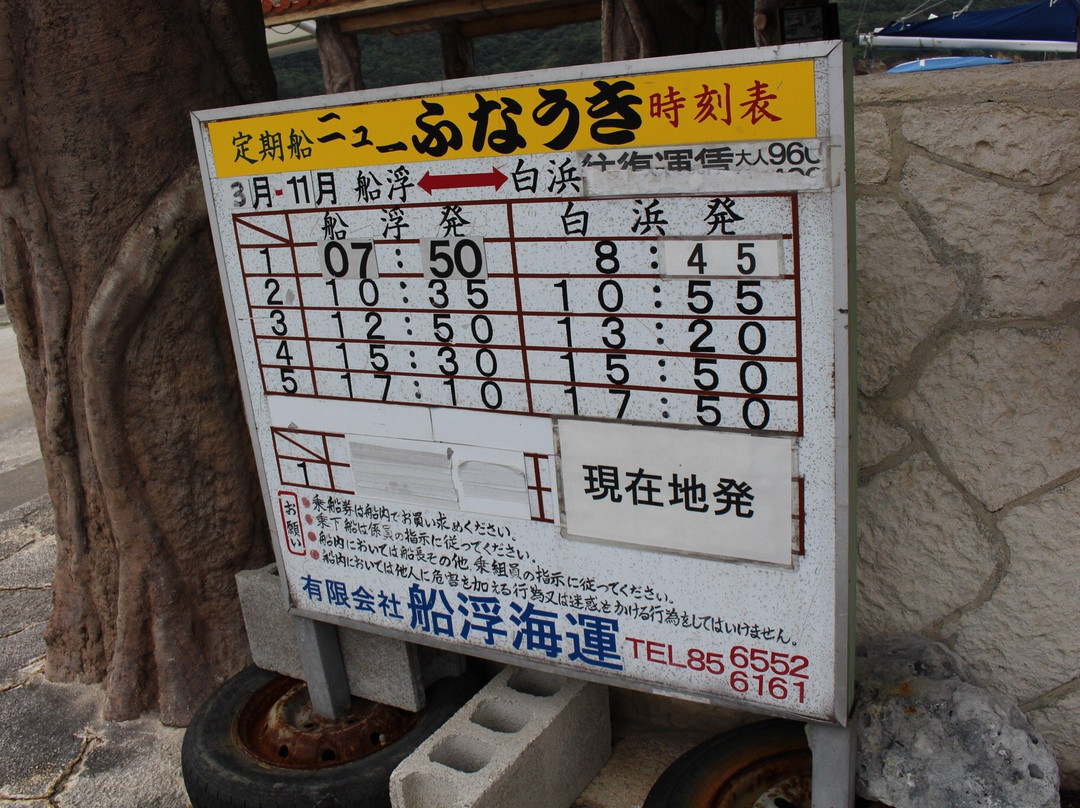 Shirahama Port景点图片
