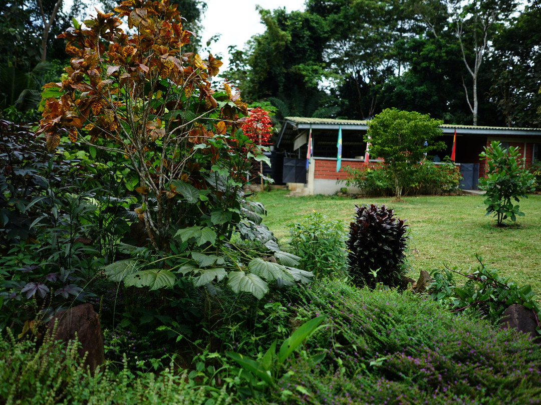 International Stingless Bee Centre