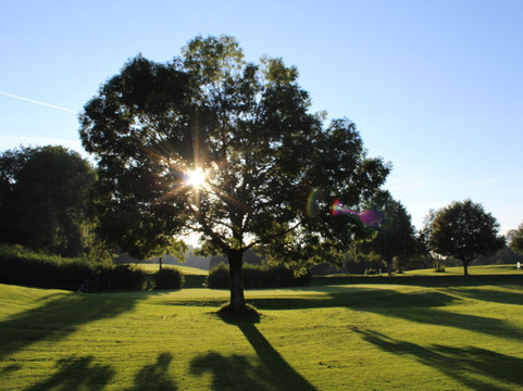 Tölzer Golfclub-Wackersberg必去景点