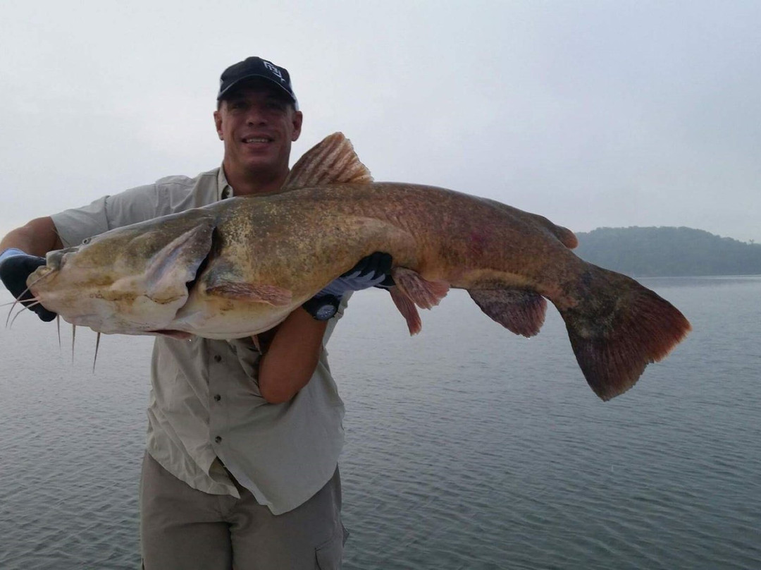 Big Tennessee Adventures-Spring City必去景点