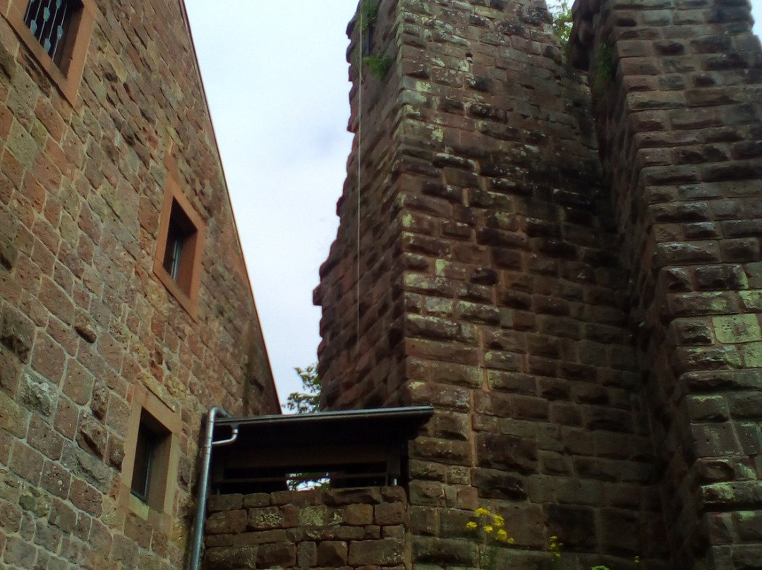 Burg Wilenstein-Flörsheim景点图片