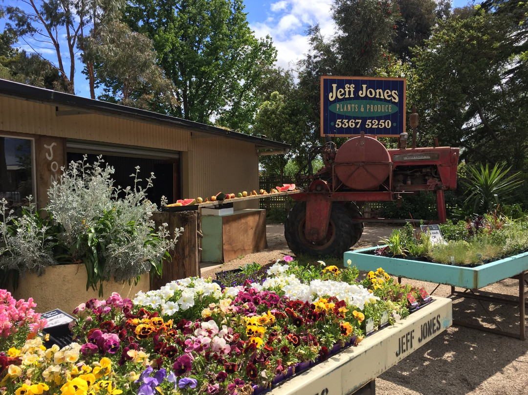 Jeff Jones Plants and Produce景点图片