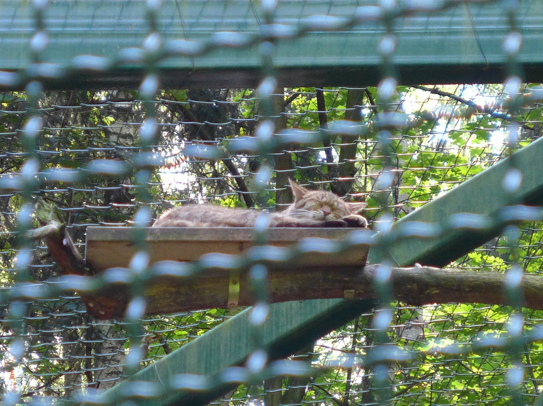 Tierpark Gera-Gera必去景点