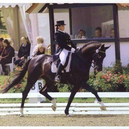 Cleland Equestrian Club-Saint Andrew Parish必去景点